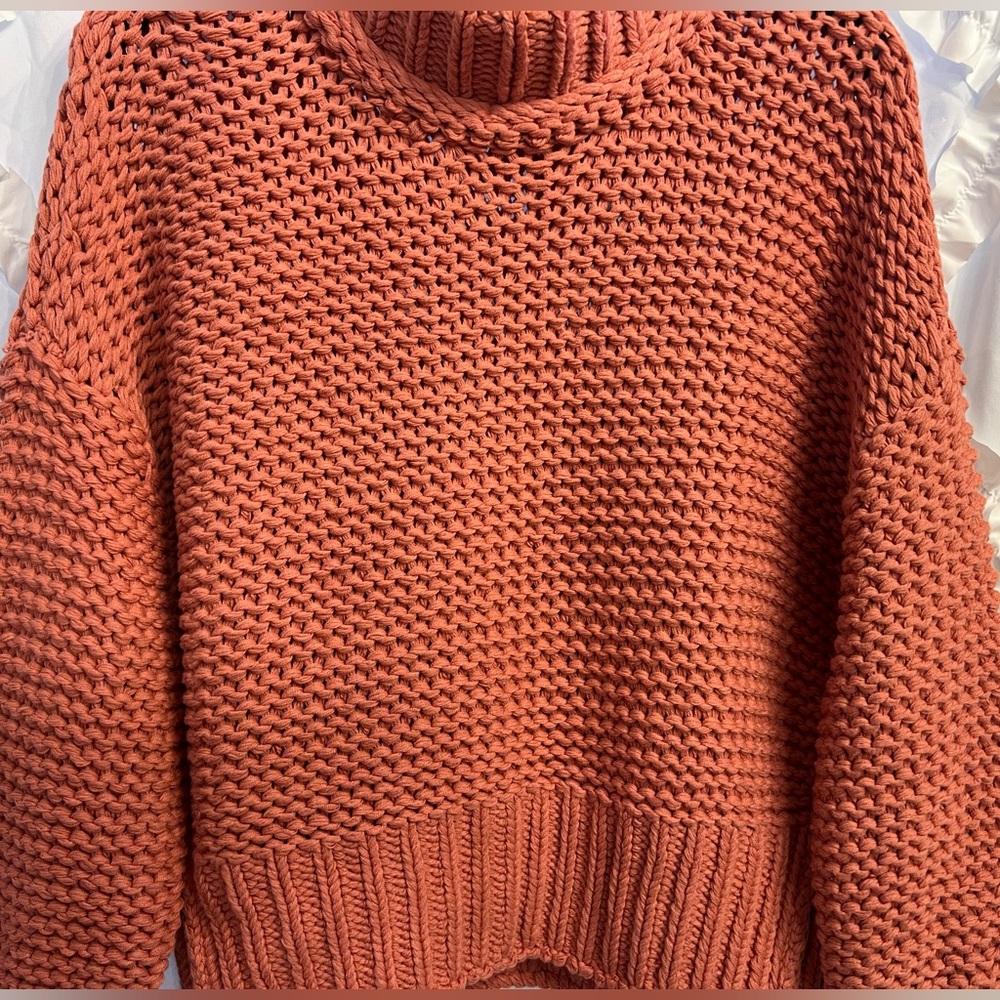 Free People My Only Sunshine Sweater in Rosette NWT - Picture 6 of 13